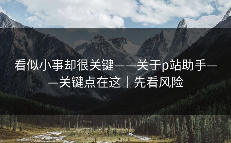 看似小事却很关键——关于p站助手——关键点在这｜先看风险