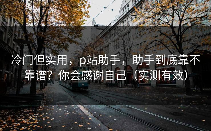 冷门但实用，p站助手，助手到底靠不靠谱？你会感谢自己（实测有效）
