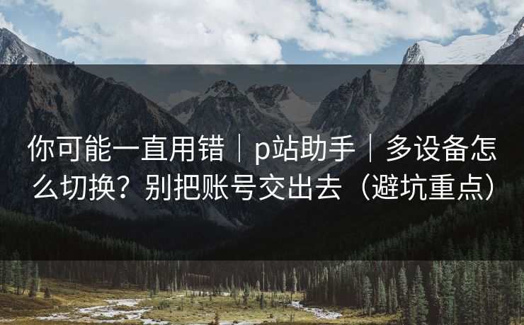 你可能一直用错｜p站助手｜多设备怎么切换？别把账号交出去（避坑重点）