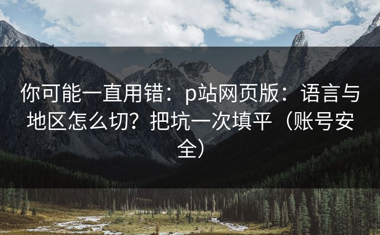 你可能一直用错：p站网页版：语言与地区怎么切？把坑一次填平（账号安全）