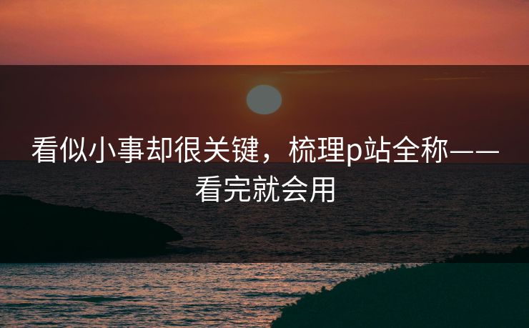 看似小事却很关键，梳理p站全称——看完就会用