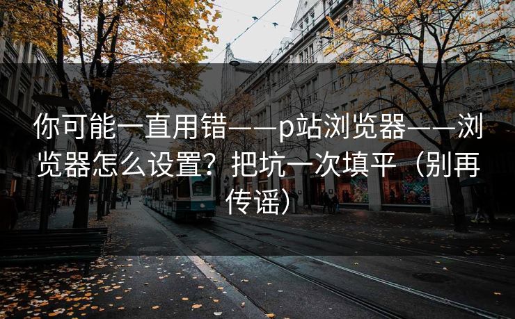 你可能一直用错——p站浏览器——浏览器怎么设置?把坑一次填平(别再传谣)
