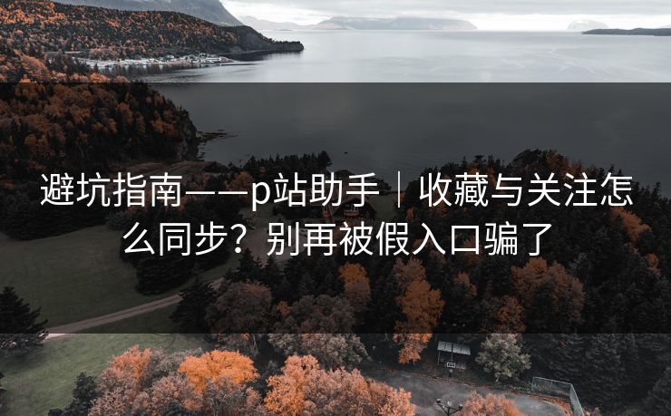 避坑指南——p站助手|收藏与关注怎么同步?别再被假入口骗了