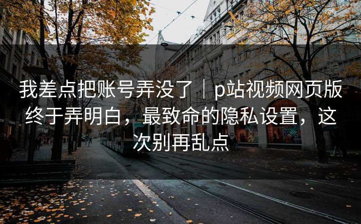 我差点把账号弄没了|p站视频网页版终于弄明白,最致命的隐私设置,这次别再乱点