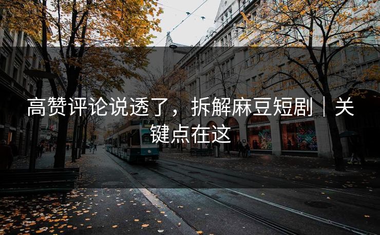 高赞评论说透了，拆解麻豆短剧｜关键点在这
