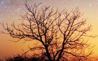 别再装了，每日大赛黑料反转了：最容易踩坑的更新，答案藏在细节里