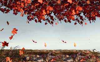 看似小事却很关键-围绕p站网页登录——关键点在这，别踩坑（重要提醒）