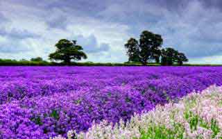 被忽略的细节｜针对吃瓜爆料：别把人设当事实