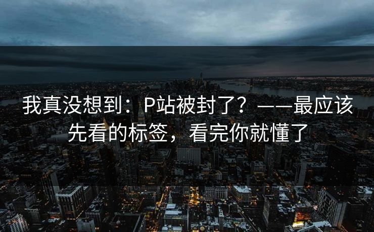 我真没想到：P站被封了？——最应该先看的标签，看完你就懂了