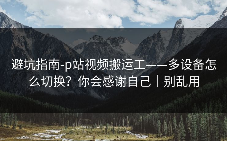 避坑指南-p站视频搬运工——多设备怎么切换？你会感谢自己｜别乱用