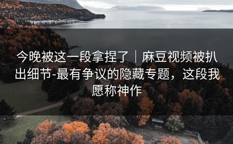今晚被这一段拿捏了｜麻豆视频被扒出细节-最有争议的隐藏专题，这段我愿称神作