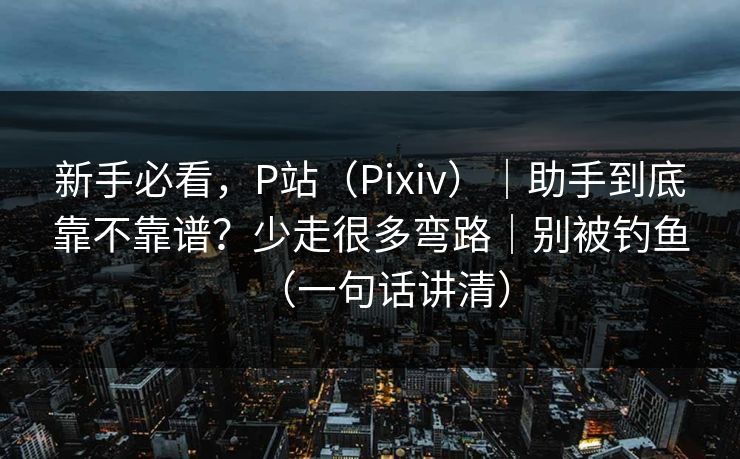 新手必看，P站（Pixiv）｜助手到底靠不靠谱？少走很多弯路｜别被钓鱼（一句话讲清）