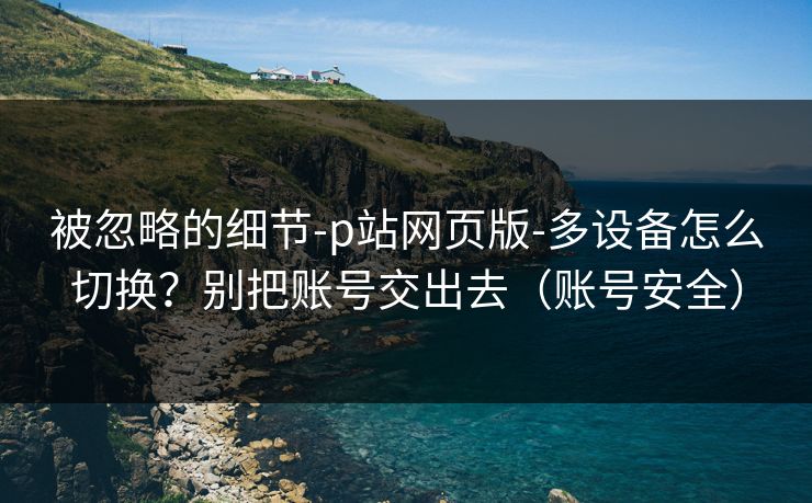 被忽略的细节-p站网页版-多设备怎么切换？别把账号交出去（账号安全）