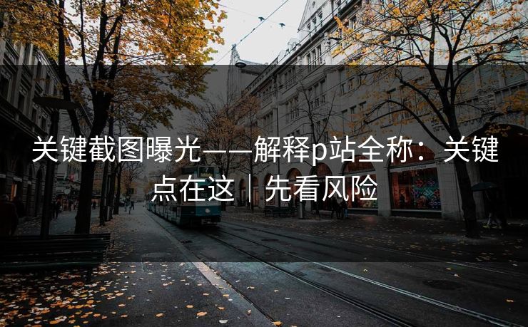 关键截图曝光——解释p站全称：关键点在这｜先看风险
