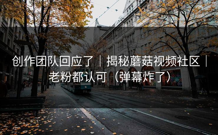 创作团队回应了｜揭秘蘑菇视频社区｜老粉都认可（弹幕炸了）