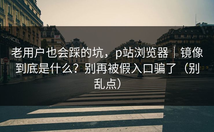 老用户也会踩的坑，p站浏览器｜镜像到底是什么？别再被假入口骗了（别乱点）