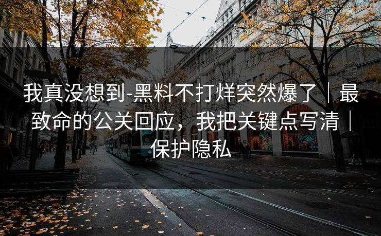 我真没想到-黑料不打烊突然爆了｜最致命的公关回应，我把关键点写清｜保护隐私