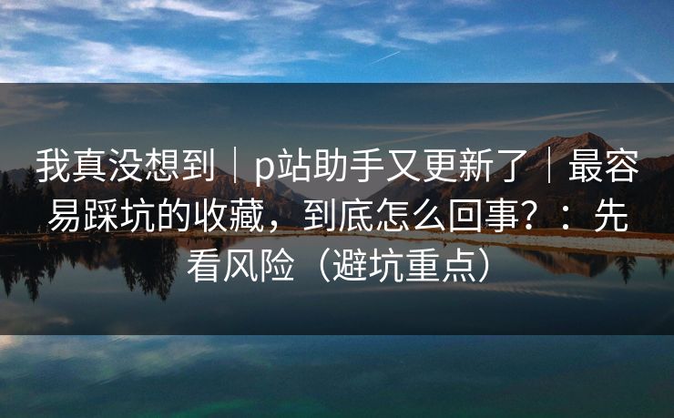 我真没想到｜p站助手又更新了｜最容易踩坑的收藏，到底怎么回事？：先看风险（避坑重点）