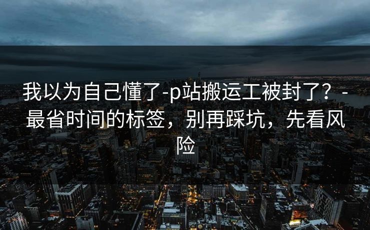 我以为自己懂了-p站搬运工被封了?-最省时间的标签,别再踩坑,先看风险